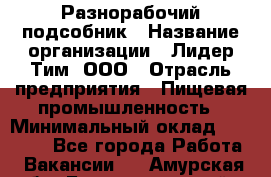 Разнорабочий-подсобник › Название организации ­ Лидер Тим, ООО › Отрасль предприятия ­ Пищевая промышленность › Минимальный оклад ­ 30 000 - Все города Работа » Вакансии   . Амурская обл.,Благовещенский р-н